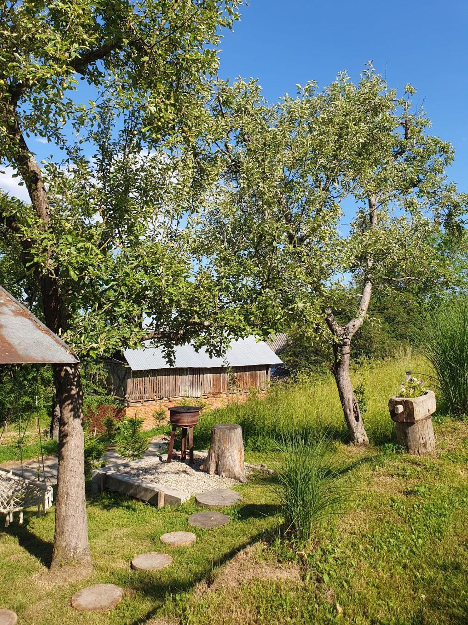 Cabana Valea Lui Mas Robaia Extérieur photo