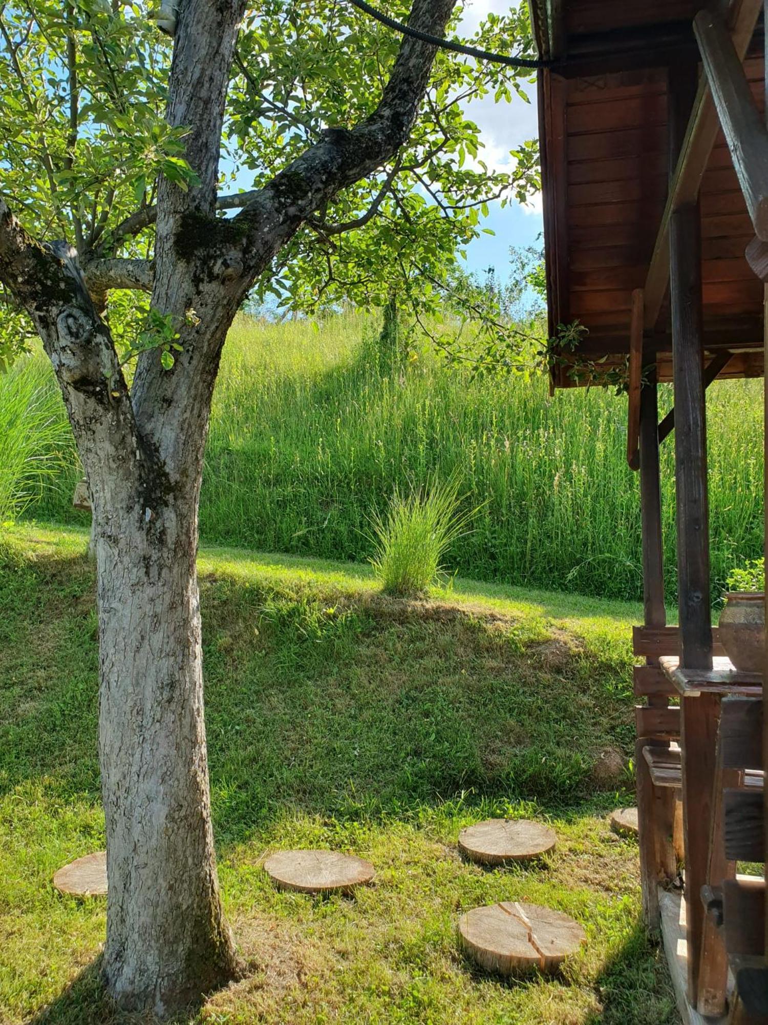 Cabana Valea Lui Mas Robaia Extérieur photo