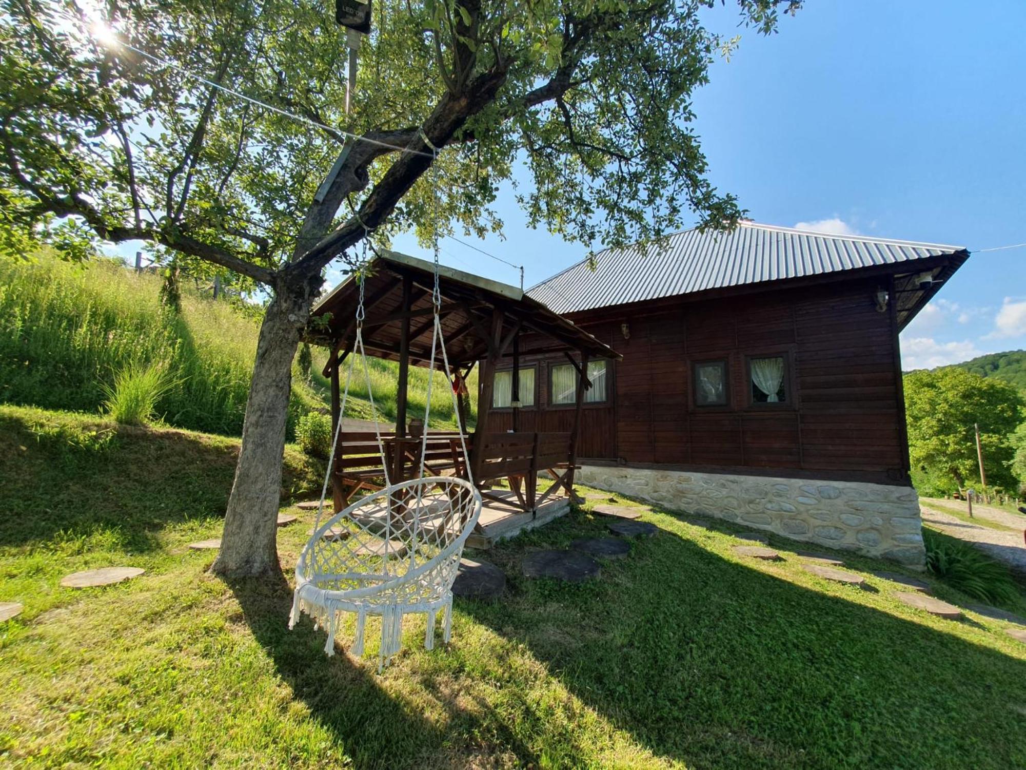 Cabana Valea Lui Mas Robaia Extérieur photo