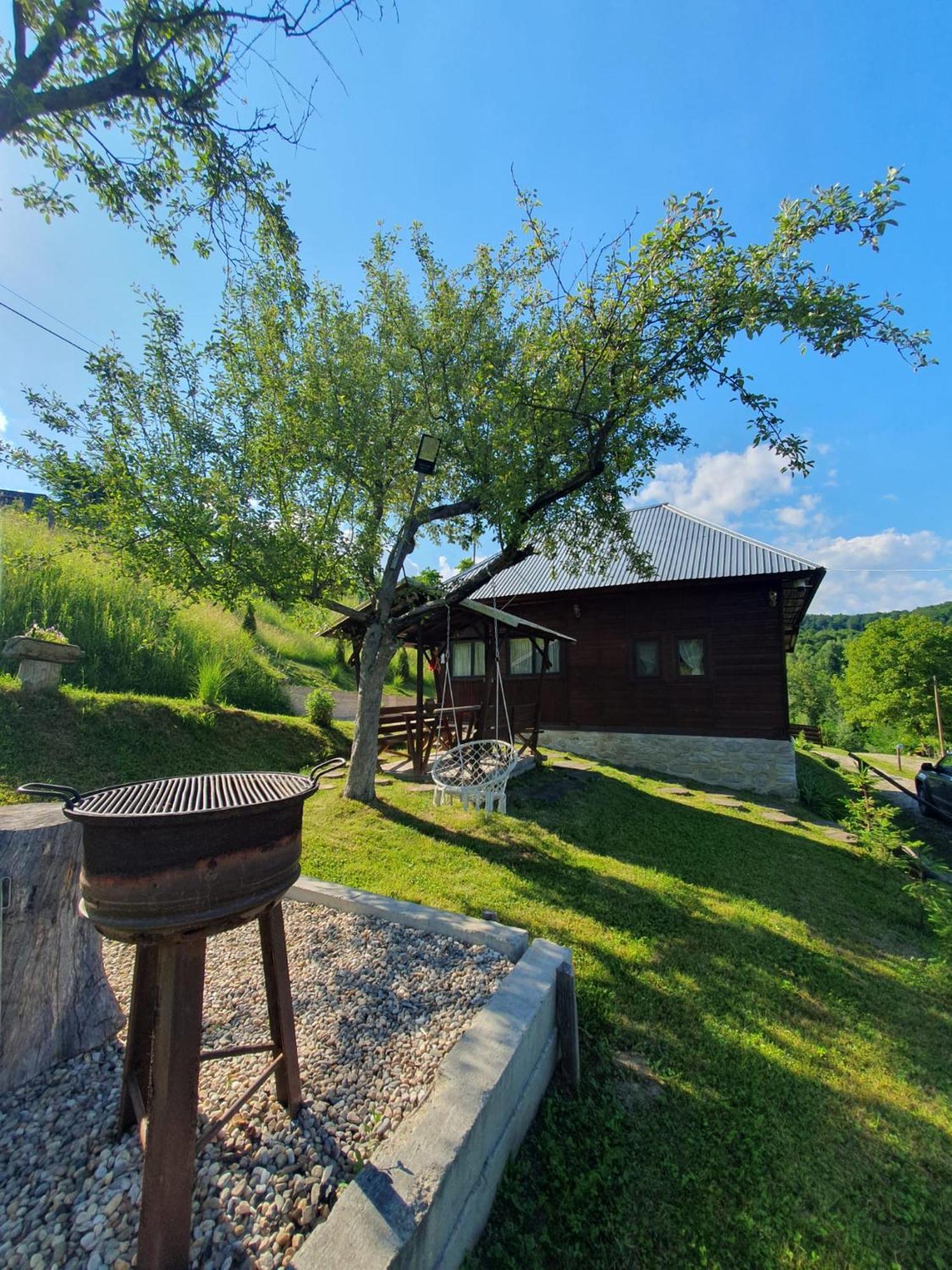Cabana Valea Lui Mas Robaia Extérieur photo