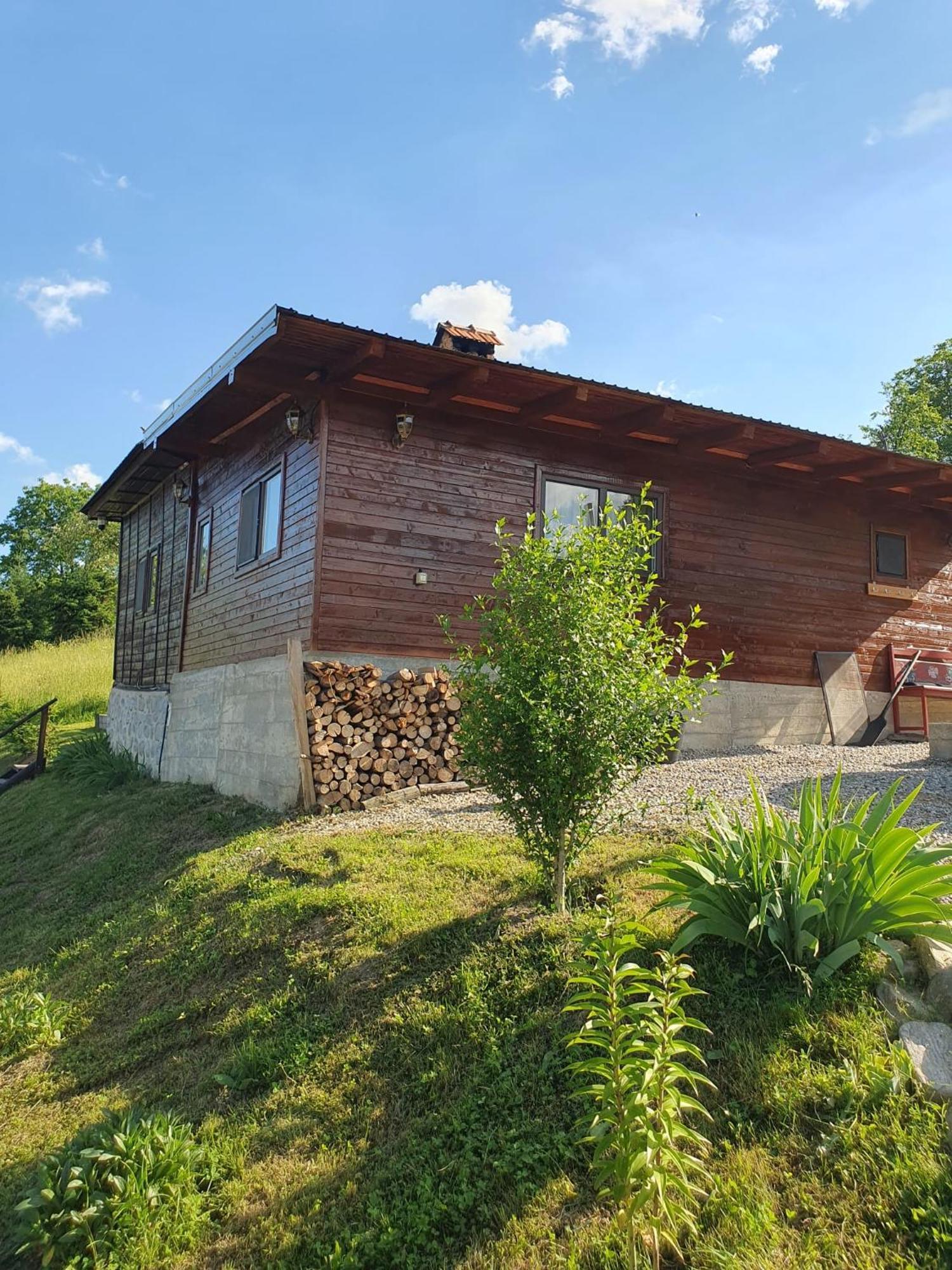 Cabana Valea Lui Mas Robaia Extérieur photo