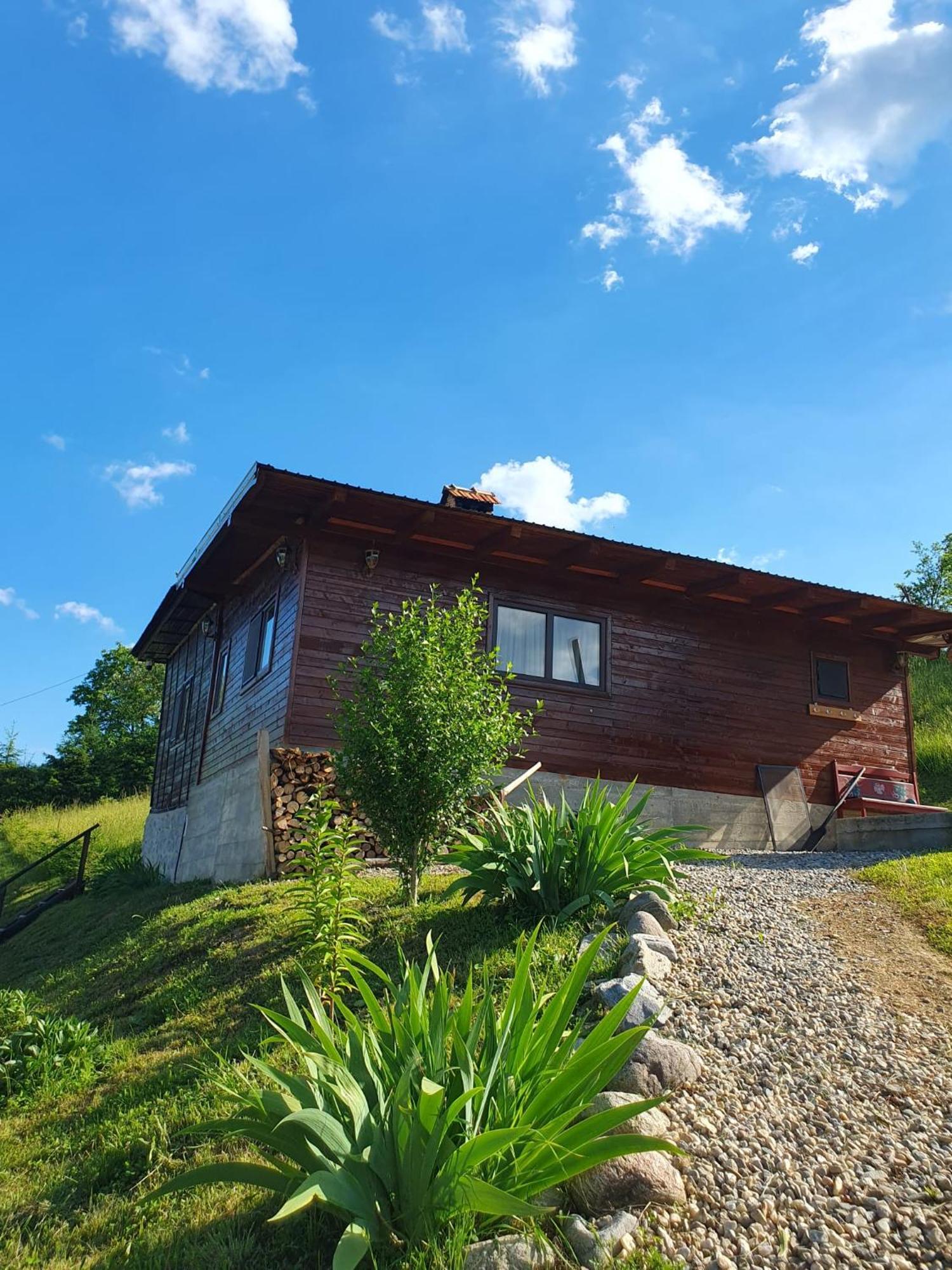 Cabana Valea Lui Mas Robaia Extérieur photo
