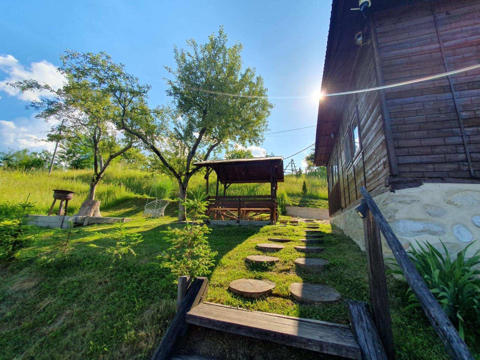 Cabana Valea Lui Mas Robaia Extérieur photo