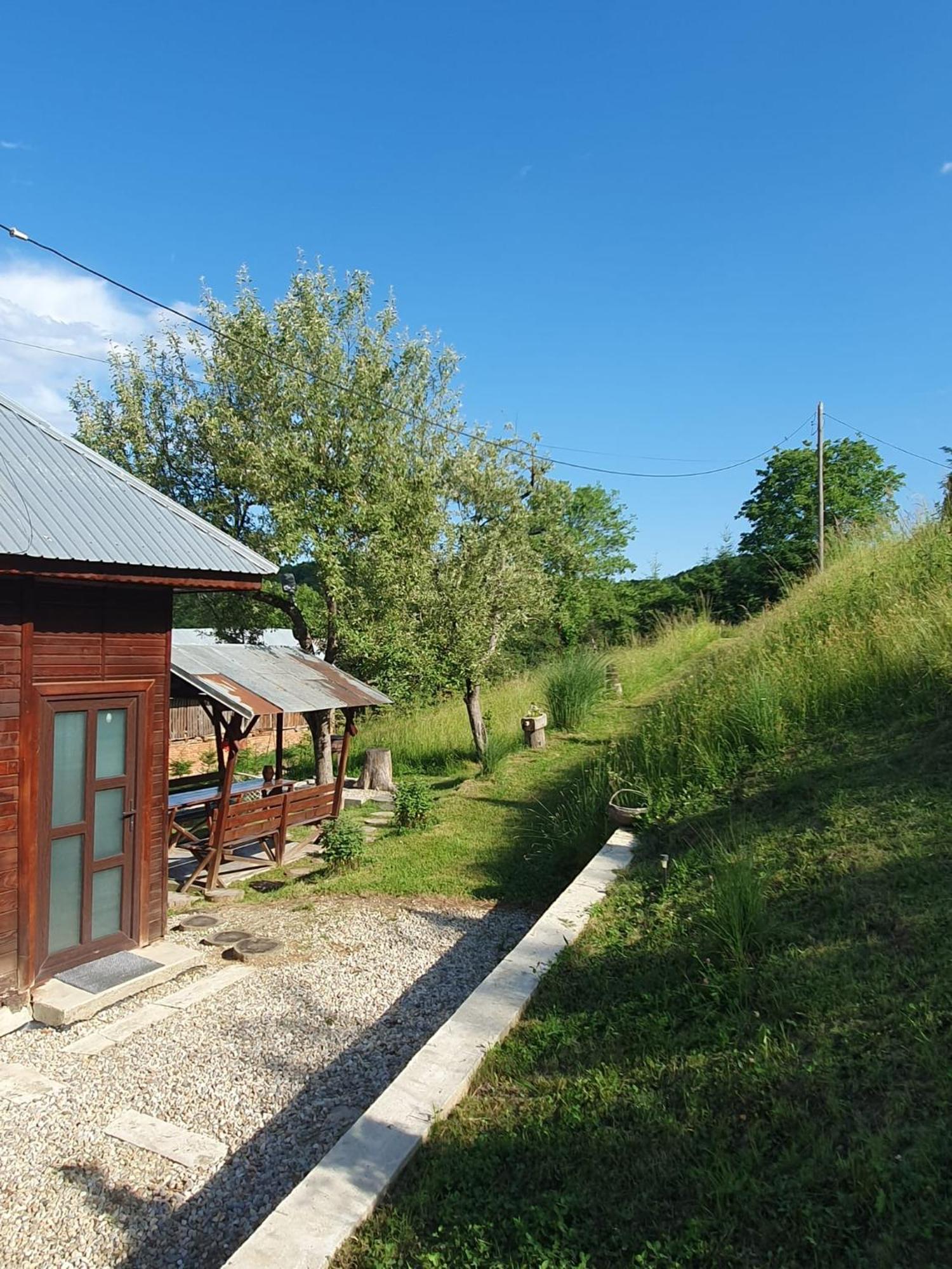 Cabana Valea Lui Mas Robaia Extérieur photo